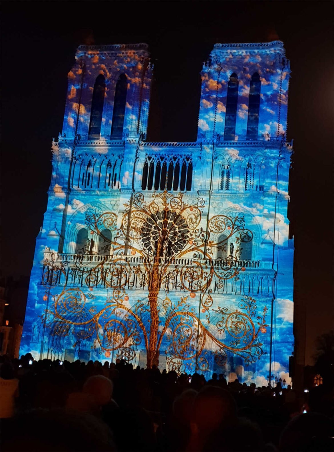 Notre-Dame Lichtshow