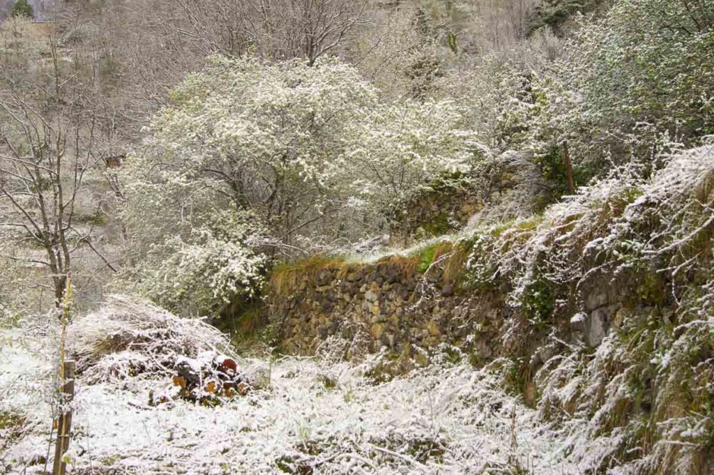 Winter in Südfrankreich