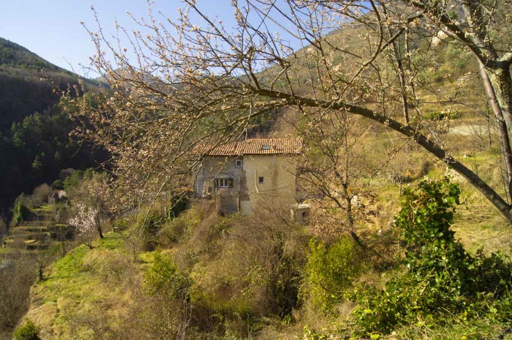 Unser Garten im Roya-Tal