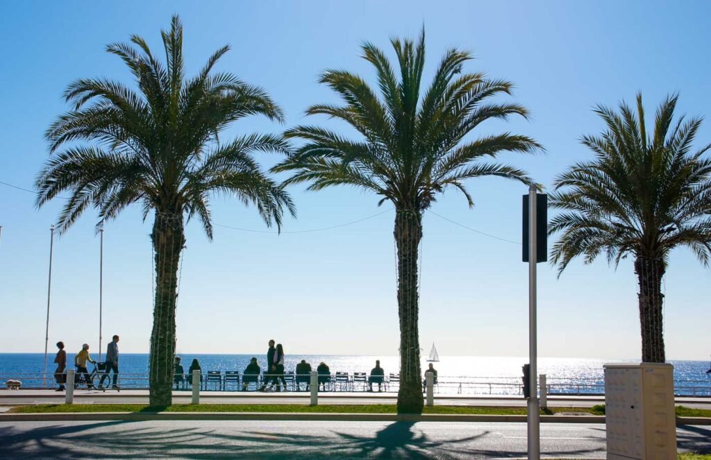 Strandpromenade in Nizza mit Palmen, blauen Stühlen und grandiosen Blick auf das Meer