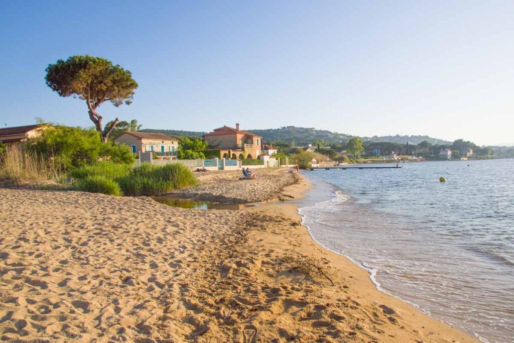 St Tropez Strand mit Schirmkiefer 